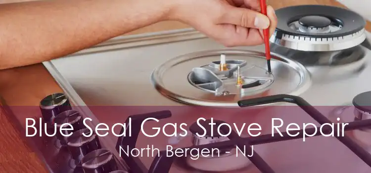 Blue Seal Gas Stove Repair North Bergen - NJ