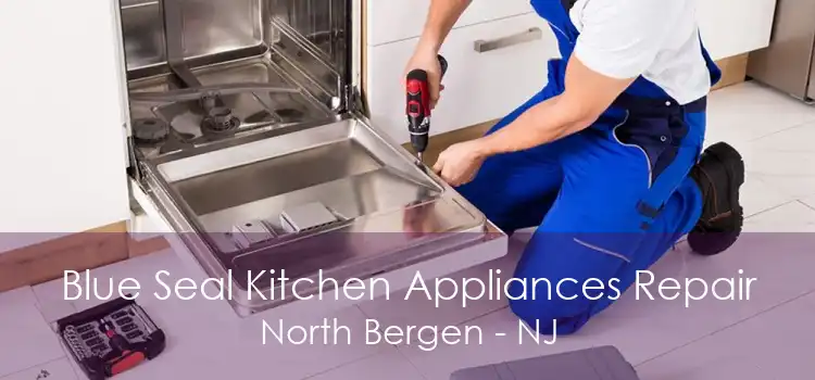 Blue Seal Kitchen Appliances Repair North Bergen - NJ