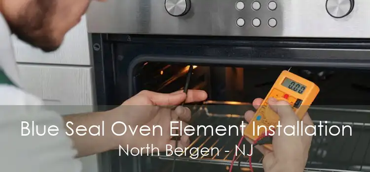 Blue Seal Oven Element Installation North Bergen - NJ