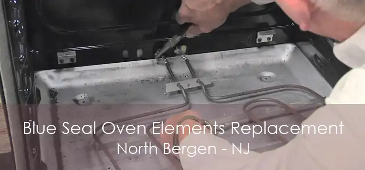 Blue Seal Oven Elements Replacement North Bergen - NJ