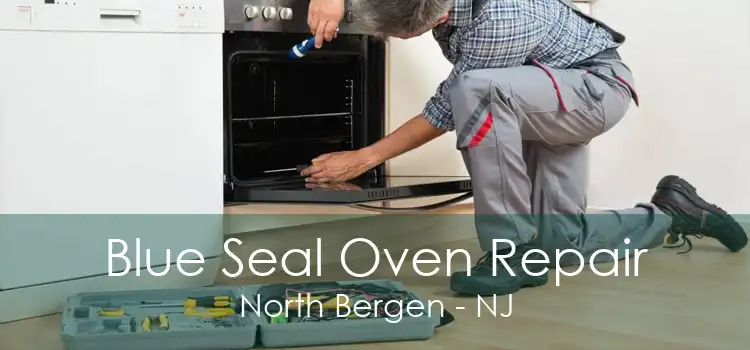 Blue Seal Oven Repair North Bergen - NJ