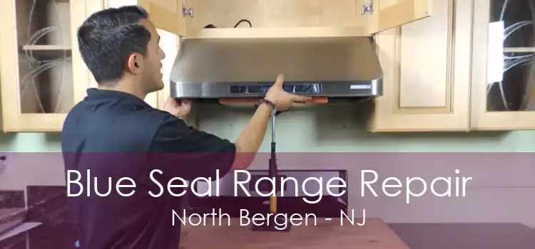 Blue Seal Range Repair North Bergen - NJ