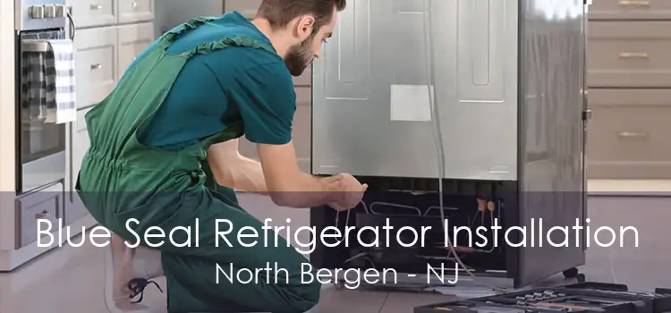 Blue Seal Refrigerator Installation North Bergen - NJ