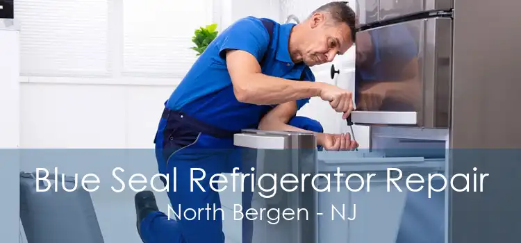 Blue Seal Refrigerator Repair North Bergen - NJ
