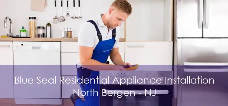 Blue Seal Residential Appliance Installation North Bergen - NJ
