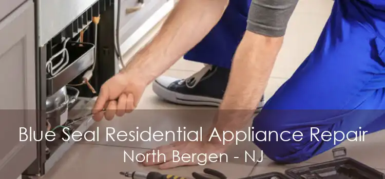 Blue Seal Residential Appliance Repair North Bergen - NJ