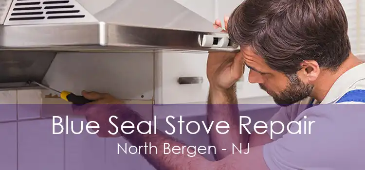 Blue Seal Stove Repair North Bergen - NJ