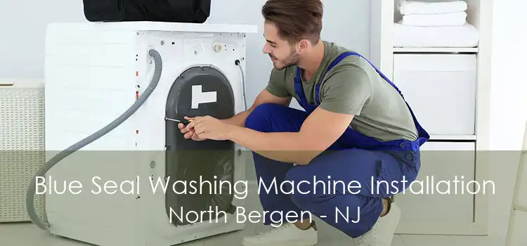 Blue Seal Washing Machine Installation North Bergen - NJ