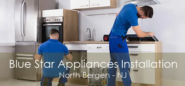 Blue Star Appliances Installation North Bergen - NJ