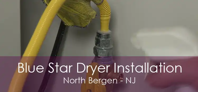 Blue Star Dryer Installation North Bergen - NJ