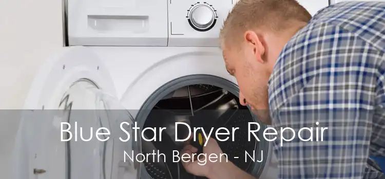 Blue Star Dryer Repair North Bergen - NJ