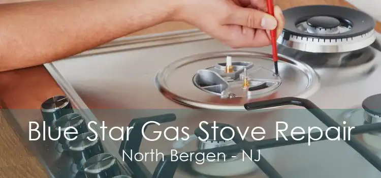 Blue Star Gas Stove Repair North Bergen - NJ