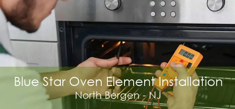 Blue Star Oven Element Installation North Bergen - NJ