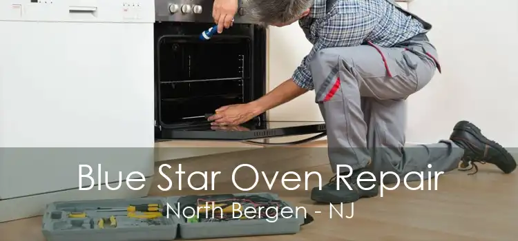 Blue Star Oven Repair North Bergen - NJ
