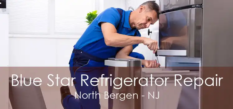 Blue Star Refrigerator Repair North Bergen - NJ