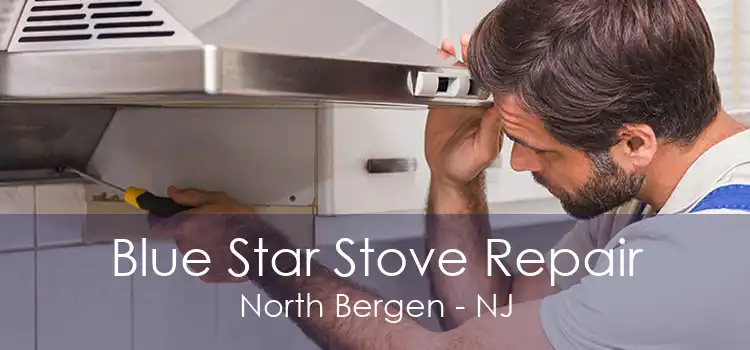 Blue Star Stove Repair North Bergen - NJ