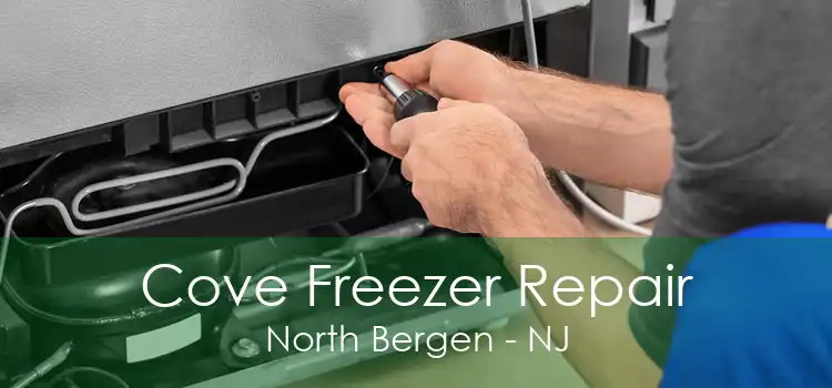 Cove Freezer Repair North Bergen - NJ