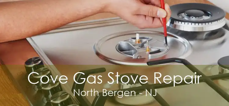 Cove Gas Stove Repair North Bergen - NJ