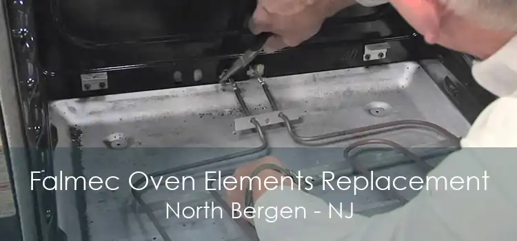 Falmec Oven Elements Replacement North Bergen - NJ