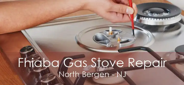 Fhiaba Gas Stove Repair North Bergen - NJ