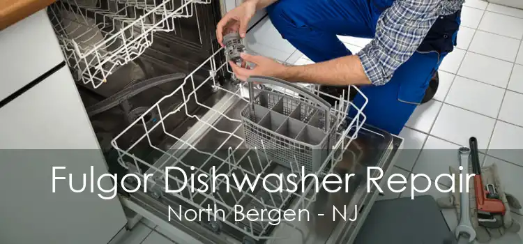 Fulgor Dishwasher Repair North Bergen - NJ