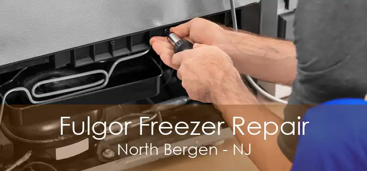 Fulgor Freezer Repair North Bergen - NJ