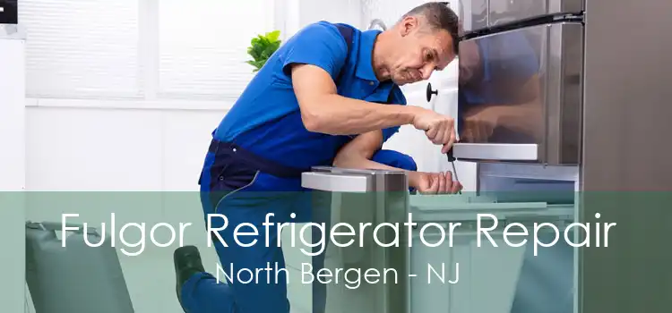 Fulgor Refrigerator Repair North Bergen - NJ