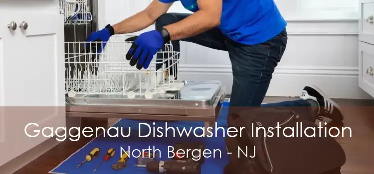 Gaggenau Dishwasher Installation North Bergen - NJ