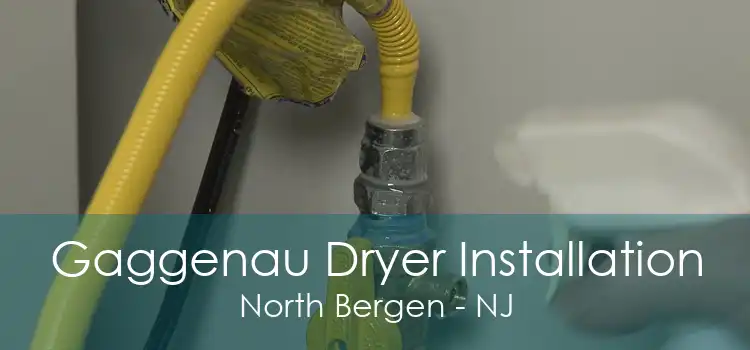 Gaggenau Dryer Installation North Bergen - NJ