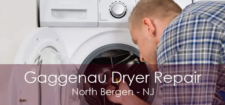 Gaggenau Dryer Repair North Bergen - NJ