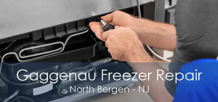 Gaggenau Freezer Repair North Bergen - NJ