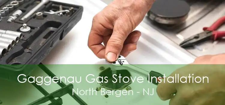 Gaggenau Gas Stove Installation North Bergen - NJ