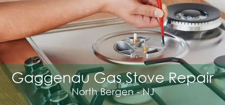 Gaggenau Gas Stove Repair North Bergen - NJ