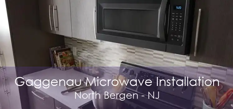 Gaggenau Microwave Installation North Bergen - NJ