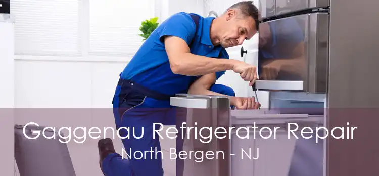 Gaggenau Refrigerator Repair North Bergen - NJ