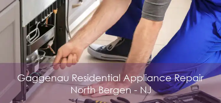 Gaggenau Residential Appliance Repair North Bergen - NJ