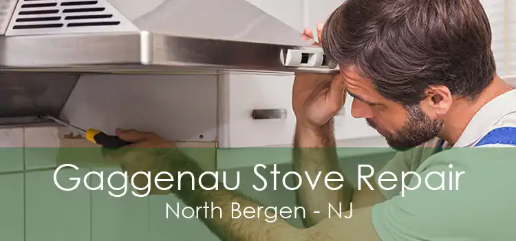 Gaggenau Stove Repair North Bergen - NJ