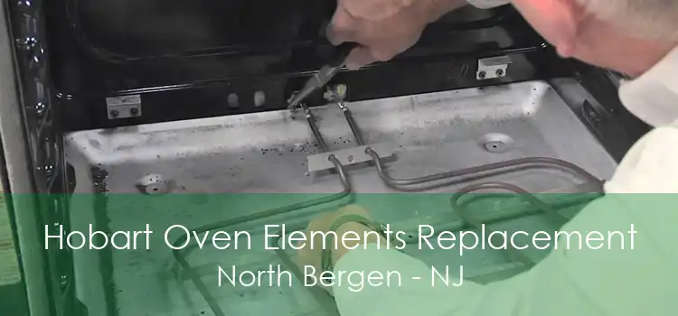 Hobart Oven Elements Replacement North Bergen - NJ