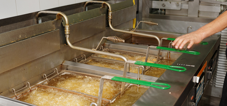 Wolf Commercial Fryer Repair in North Bergen, NJ
