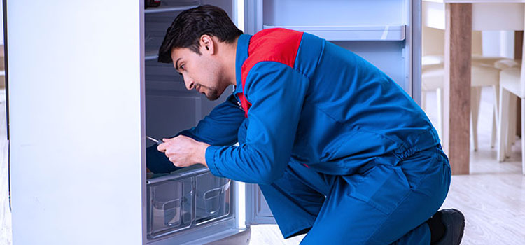 Zephyr Freezer Repair Services in North Bergen, New Jersey