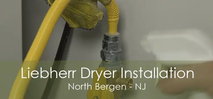 Liebherr Dryer Installation North Bergen - NJ