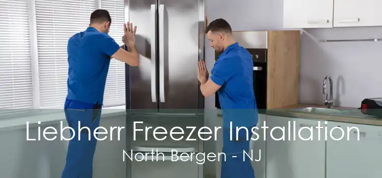 Liebherr Freezer Installation North Bergen - NJ