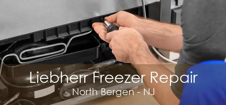 Liebherr Freezer Repair North Bergen - NJ
