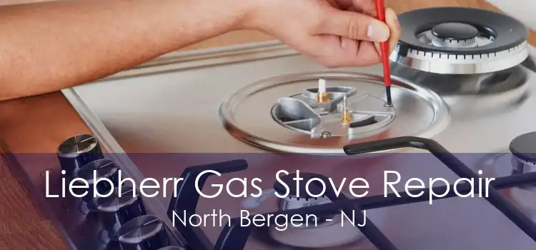 Liebherr Gas Stove Repair North Bergen - NJ