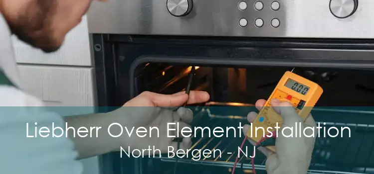 Liebherr Oven Element Installation North Bergen - NJ