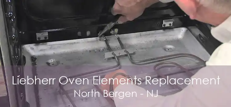 Liebherr Oven Elements Replacement North Bergen - NJ