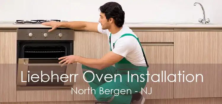 Liebherr Oven Installation North Bergen - NJ