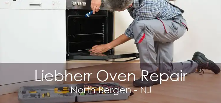 Liebherr Oven Repair North Bergen - NJ