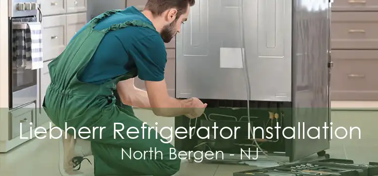 Liebherr Refrigerator Installation North Bergen - NJ