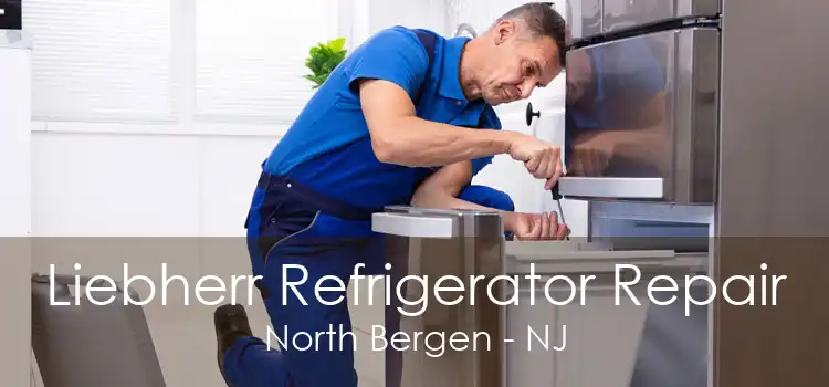 Liebherr Refrigerator Repair North Bergen - NJ